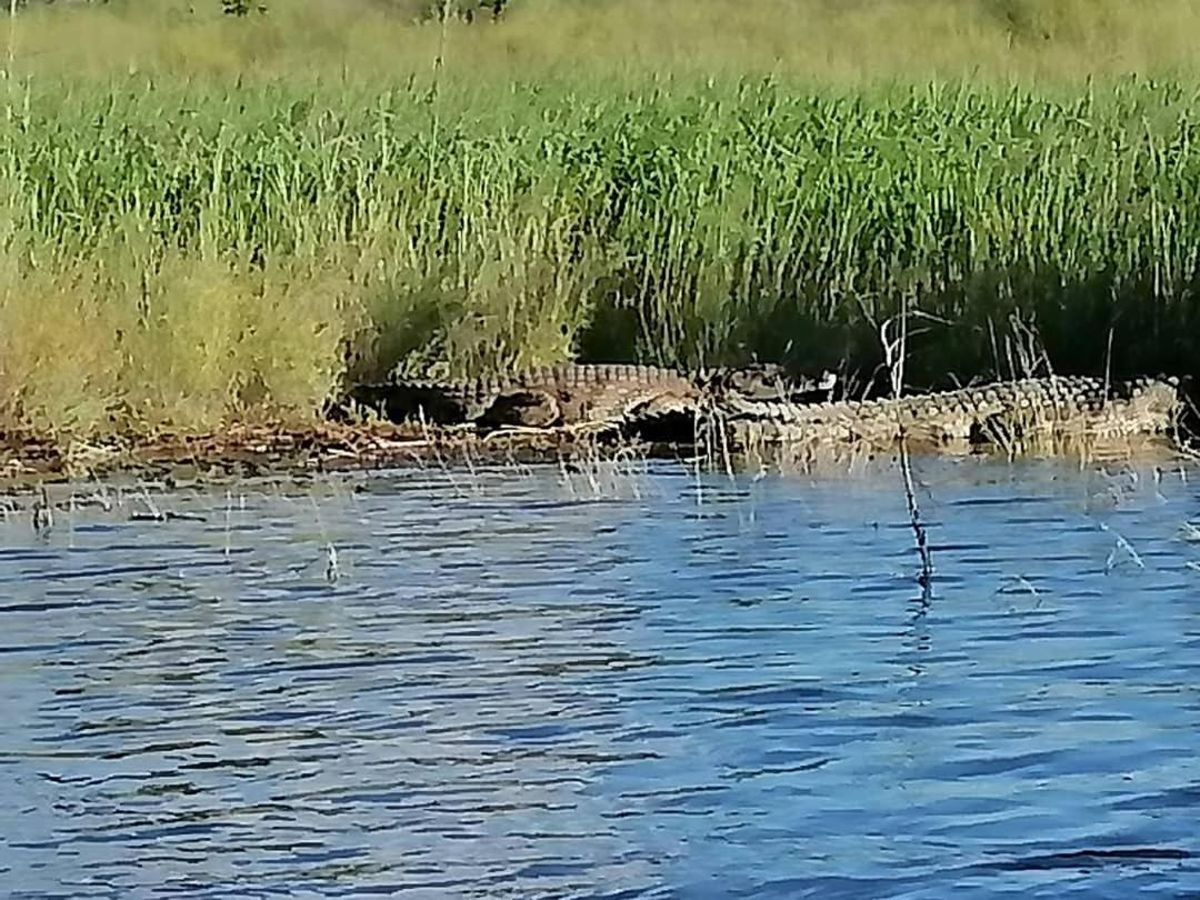 Camp Hogo Kavango Rundu Exterior photo